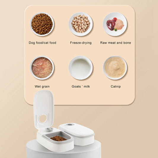 2-in-1 Gravity Pet Food & Water Feeder