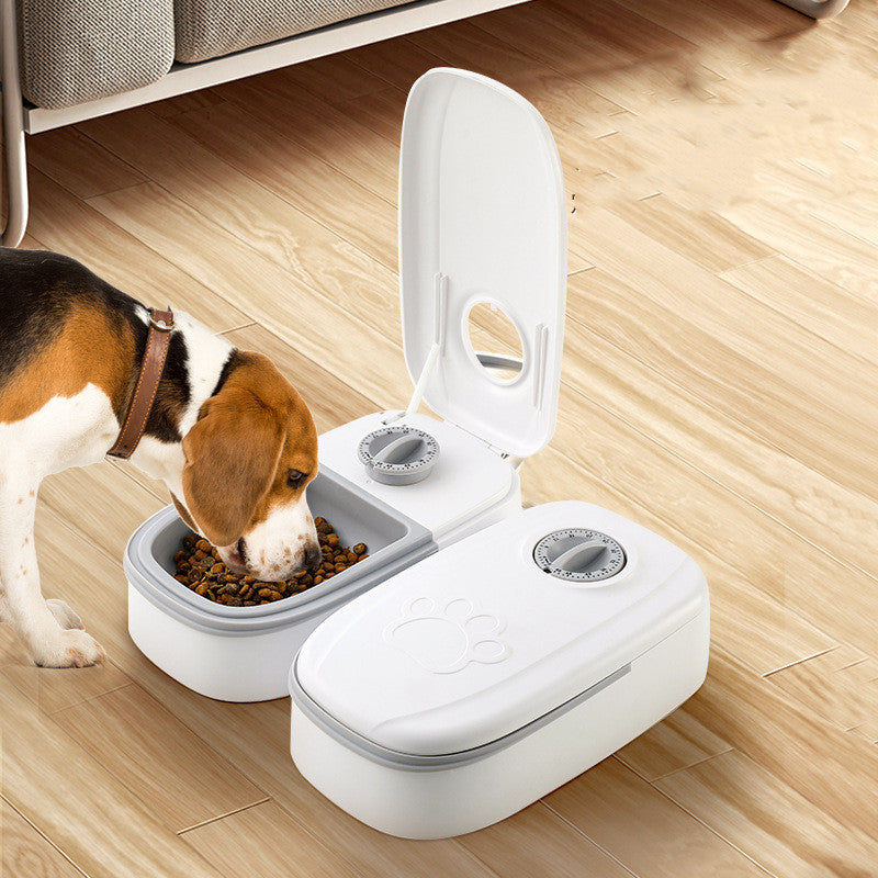 2-in-1 Gravity Pet Food & Water Feeder